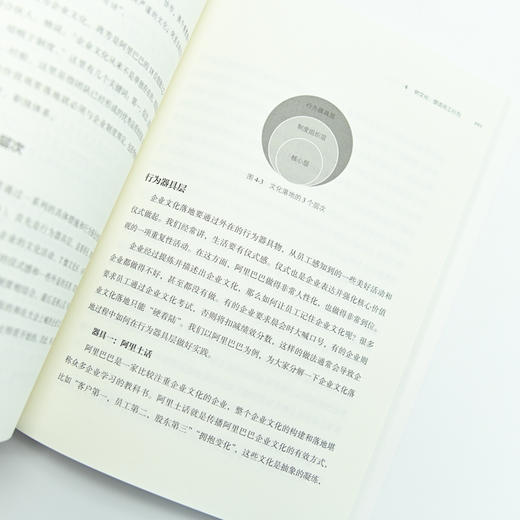 刷新管理：数字化企业快速成长 许林芳讲管理阿里巴巴企业管理组织管理企业文化敏捷组织 商品图11