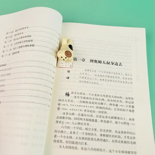 (仓发) 海蒂（中小学课外阅读 无障碍阅读）智慧熊图书/时代文艺出版社/[瑞士]约翰·娜斯比丽/9787538768909 商品图4