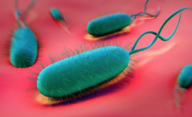 感染了幽门螺杆菌会得胃癌吗？