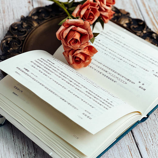 词榘 上下册 词谱要籍整理与汇编 第一辑 方成培 正版 精装 华东师范大学出版社 商品图6