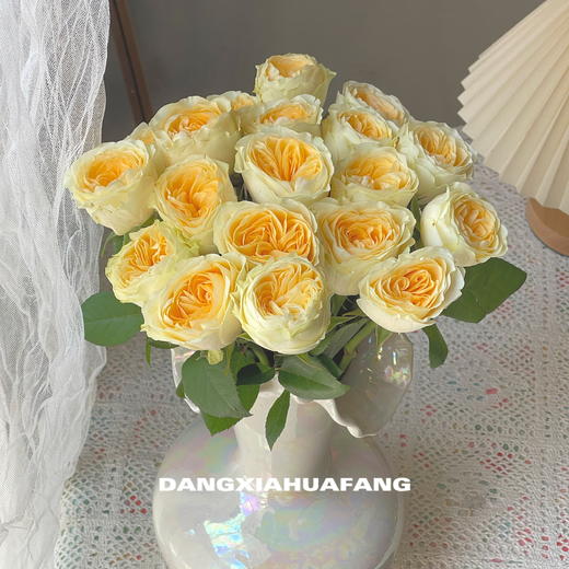 【奶油杯玫瑰】10支/份 采用无土栽培技术培育长约50-55cm 商品图0