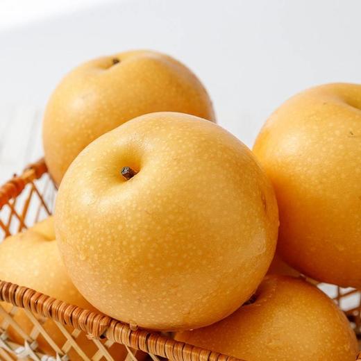 丰水梨约1.5kg一份 商品图0