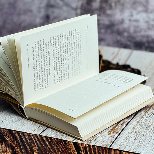 中国结 朱杰人时论散文集 增订本 正版 精装 华东师范大学出版社 商品图8