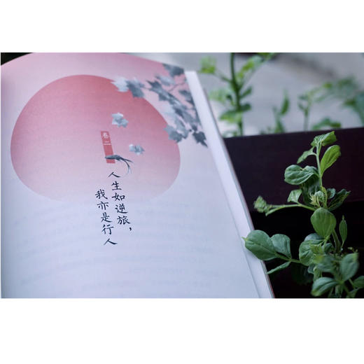 雅宋词客 商品图6