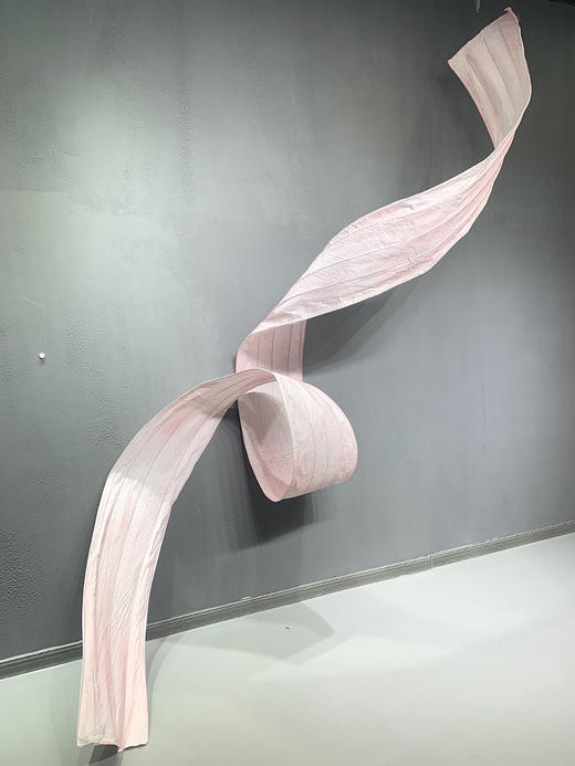 自由飘带（运费自理） 商品图3