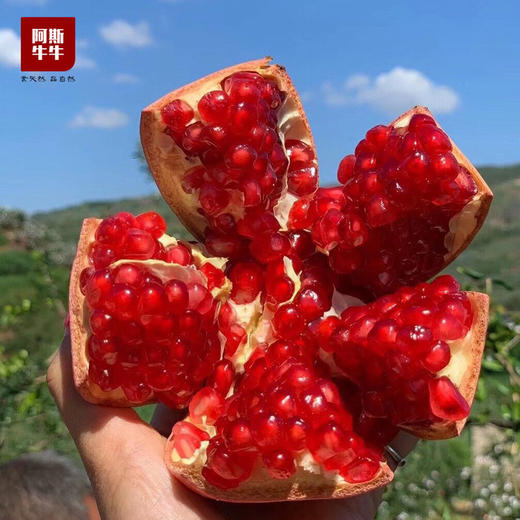 【商宗会戈友专属】会理软籽石榴7斤分享装 商品图0