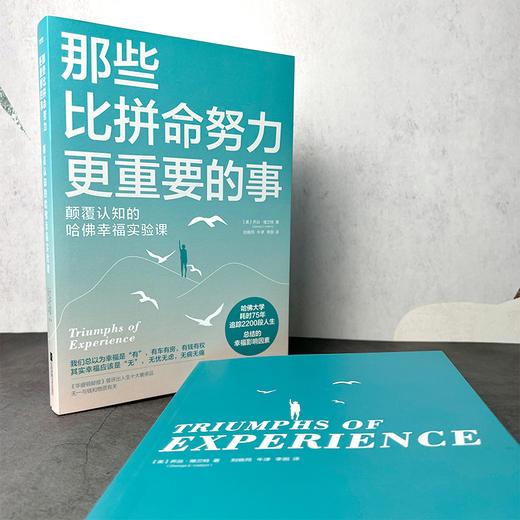 那些比拼命努力更重要的事 商品图2