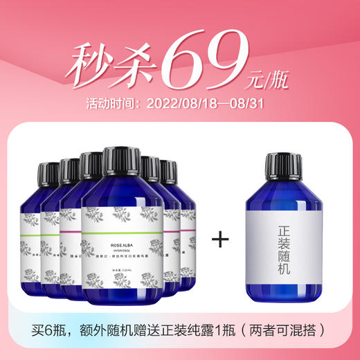 【随机】纯露正装 商品图0