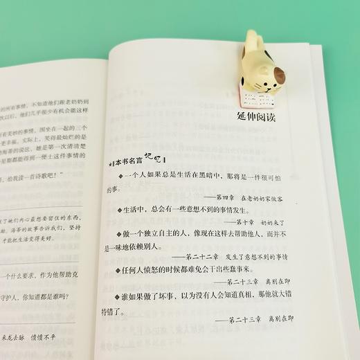 (仓发) 海蒂（中小学课外阅读 无障碍阅读）智慧熊图书/时代文艺出版社/[瑞士]约翰·娜斯比丽/9787538768909 商品图7