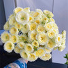 精品花材阿莫尼如暖暖多头玫瑰花10支 商品缩略图3