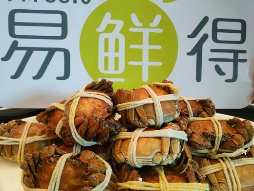 【专注高端，精美礼盒，送礼尊贵】蟹满堂7折特惠 满1000再减80   蟹卡开售 商品图3