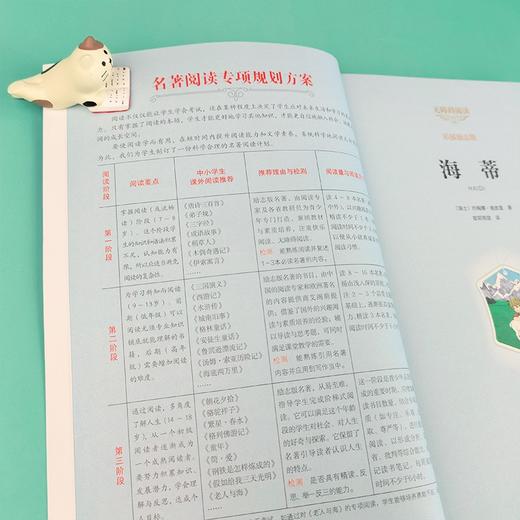 (仓发) 海蒂（中小学课外阅读 无障碍阅读）智慧熊图书/时代文艺出版社/[瑞士]约翰·娜斯比丽/9787538768909 商品图2