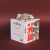 中国大猫：用科普笔记的形式，介绍中国13种野生猫科动物以及人们发现、研究和保护它们的精彩故事 商品缩略图3