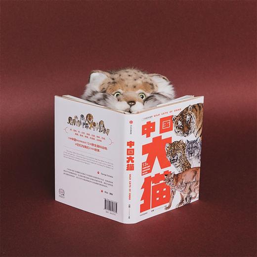 中国大猫：用科普笔记的形式，介绍中国13种野生猫科动物以及人们发现、研究和保护它们的精彩故事 商品图3
