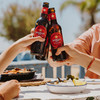 ESTRELLA DAMM 33cl*24 商品缩略图1