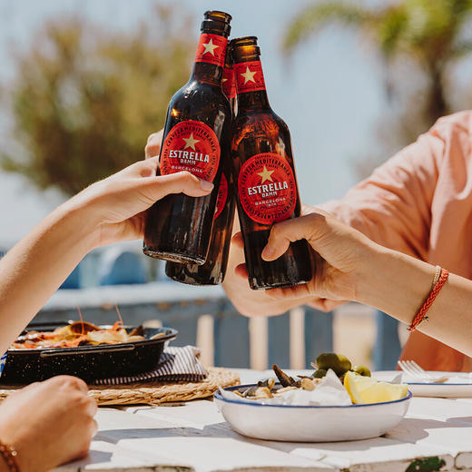 ESTRELLA DAMM 33cl*24 商品图1