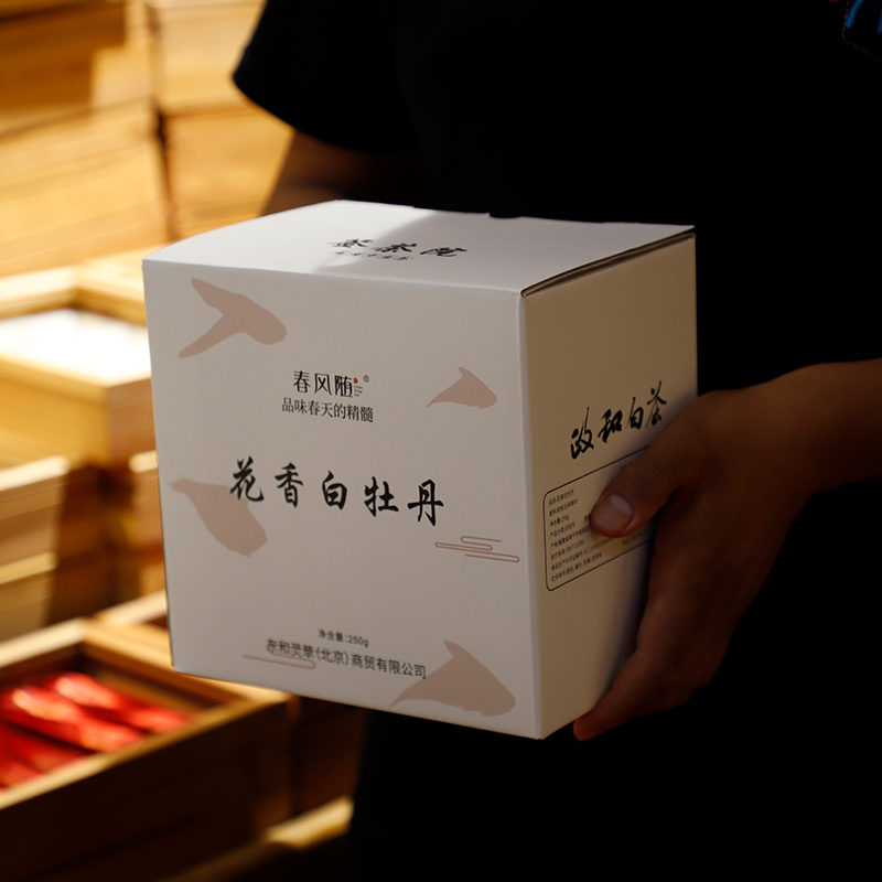 政和花香白牡丹 二级白牡丹中的天花板 品味春天的精髓