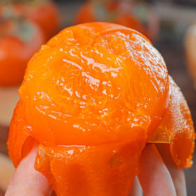 【陕西火晶柿子】陕西火晶柿子 皮薄如纸 甜蜜多汁 催熟后食用 15枚/30枚