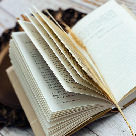 中国结 朱杰人时论散文集 增订本 正版 精装 华东师范大学出版社 商品图7