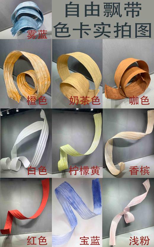 自由飘带（运费自理） 商品图5