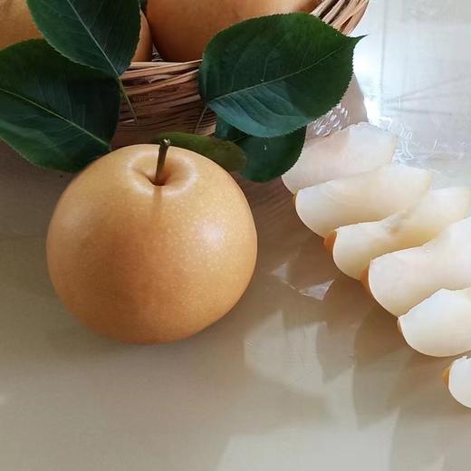 南阳市南召县小空山有机黄金梨和有机圆黄梨 商品图2