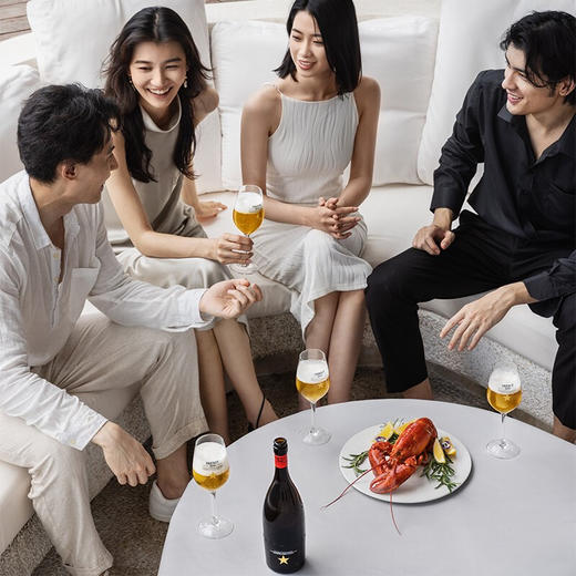 INEDIT DAMM 75cl*12 商品图7