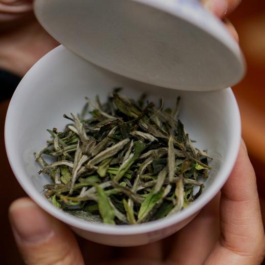 炭焙白牡丹 太姥山北岩核心老基地 明前雨前 登堂入室系列  藏茶密室推荐收藏 商品图1