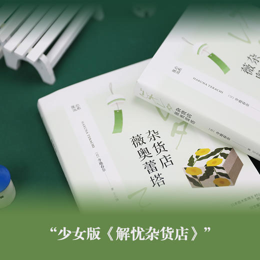 (仓发) 杂货店薇奥蕾塔/日本暖心系列/浙江文艺出版社/[日]寺地花奈/9787533960063 商品图2