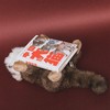 中国大猫：用科普笔记的形式，介绍中国13种野生猫科动物以及人们发现、研究和保护它们的精彩故事 商品缩略图4