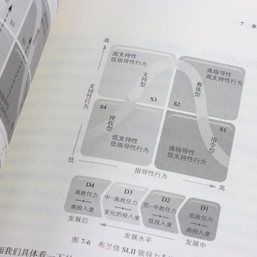 刷新管理：数字化企业快速成长 许林芳讲管理阿里巴巴企业管理组织管理企业文化敏捷组织 商品图8