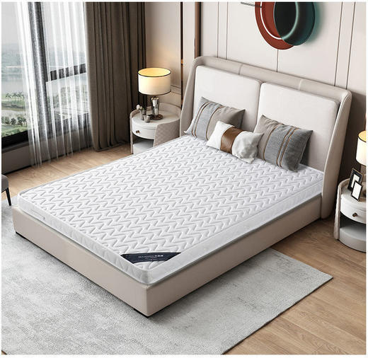 【限时折扣】椰棕垫 商品图2