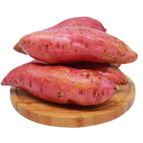 【限时拼团8.8元4斤】超甜糖心红薯 生红薯1袋(重约4斤)【当天提货】