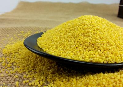 有机小米 420g 商品图1