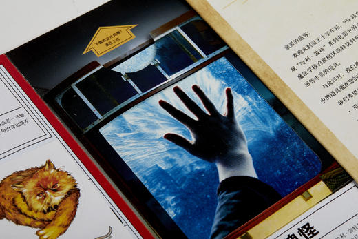 《哈利·波特魔法宝箱》20周年 授权中文版 （美）马克·苏梅拉克等编著，陈功、陈晴译 商品图9