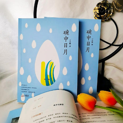 《碗中日月》中学作文高分指南，著名作家丁立梅60篇作文范本 对标全国、各省市近12年中考高考作文真题。 商品图3