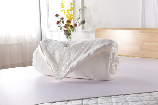 【远梦】植选大豆软软双胎被 商品图1