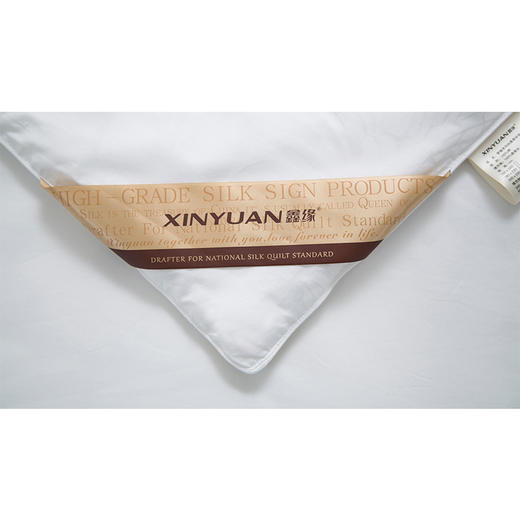 梦缘系列纯桑蚕丝被 AQPB 商品图4