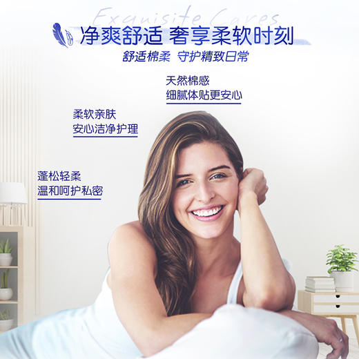 f『得宝Tempo』有芯卫卷135克4层天鹅湖无香10卷/提 商品图1