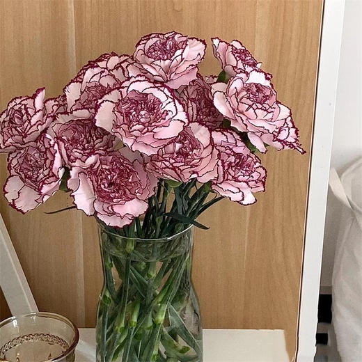 精品紫精灵国产康乃馨10支 商品图2