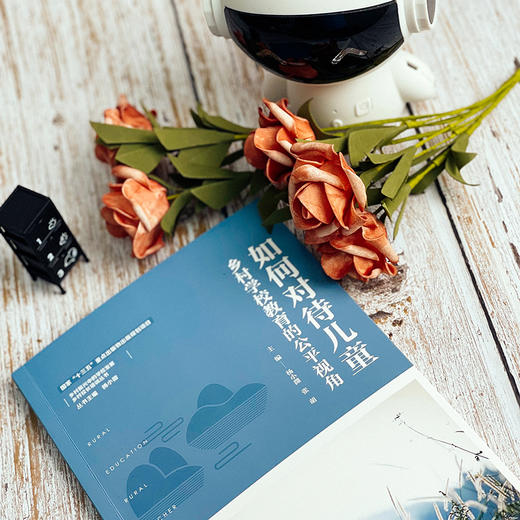 如何对待儿童 乡村学校教育的公平视角 乡村振兴中的学校发展 乡村校长培训丛书 正版 华东师范大学出版社 商品图8