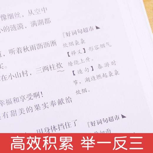 小学生抒情作文 作文素材 小学生作文大全小学通用 加厚版本小学老师推荐阅读 二三四五六年级小升初素材范本同步作文人教版正版 商品图2