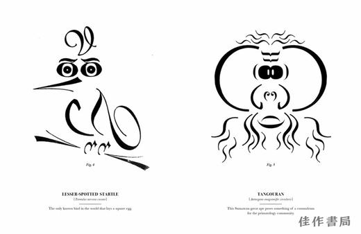 Typographic Specimens: A Natural History of Letterforms/印刷标本：字母的自然历史 商品图3