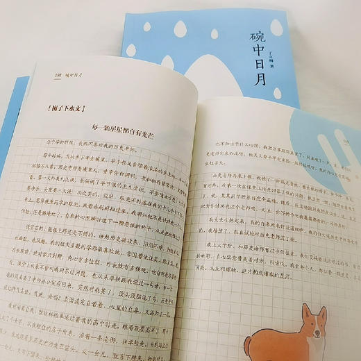 《碗中日月》中学作文高分指南，著名作家丁立梅60篇作文范本 对标全国、各省市近12年中考高考作文真题。 商品图6