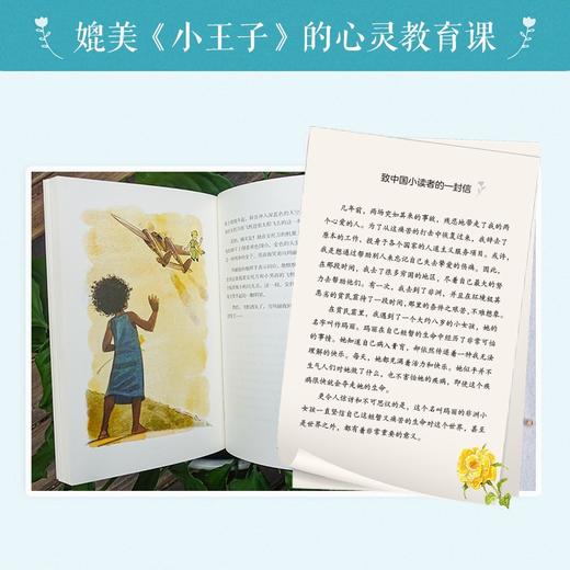 (仓发) 改变世界的小女孩 致敬小王子的励志成长故事 学生必读(中国环境标志产品 绿色印刷)/四川美术出版社/阿方索·佩科雷利/9787541087714 商品图2