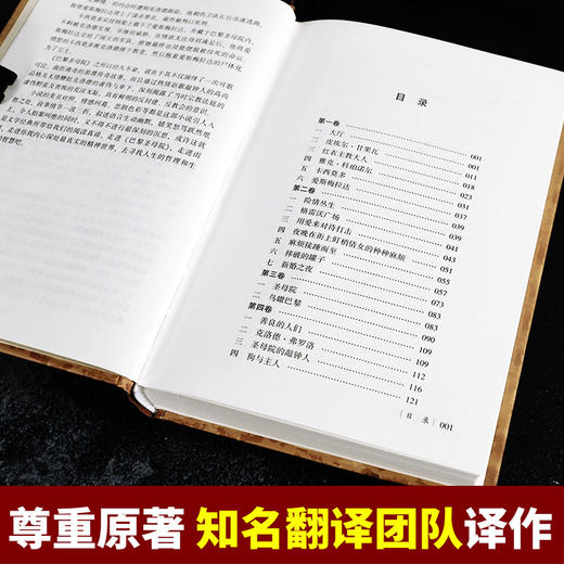 世界经典文学名著 巴黎圣母院正版全译本 雨果著 初高中寒暑假课外阅读书目青少年课外阅读世界名著外国小说畅销书籍 商品图2