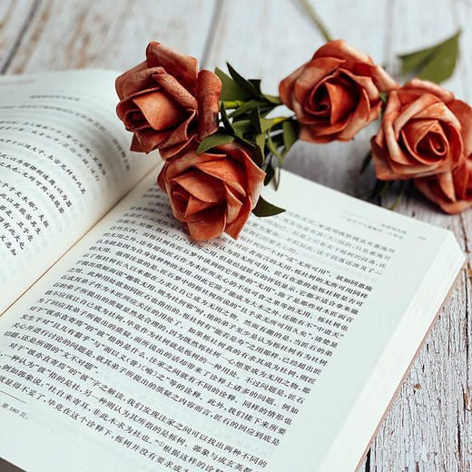 《逍遥游》的文本、结构与思想 庄子 诸子学 道家思想 学术论文 陈赟 商品图13