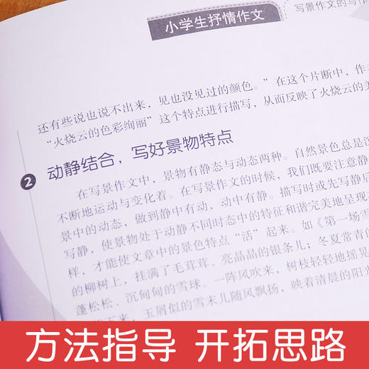 小学生抒情作文 作文素材 小学生作文大全小学通用 加厚版本小学老师推荐阅读 二三四五六年级小升初素材范本同步作文人教版正版 商品图1