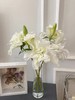 艾莎重瓣百合【山野千里，你是微风中的欢喜】简小姐精选白绿复色重瓣百合 艾莎10+2花头（防花损）2束包邮 下单5天发货 商品缩略图2