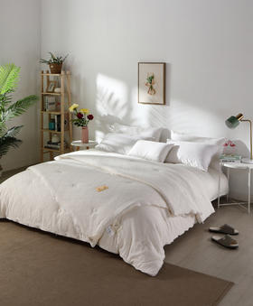 【远梦】植选大豆软软双胎被