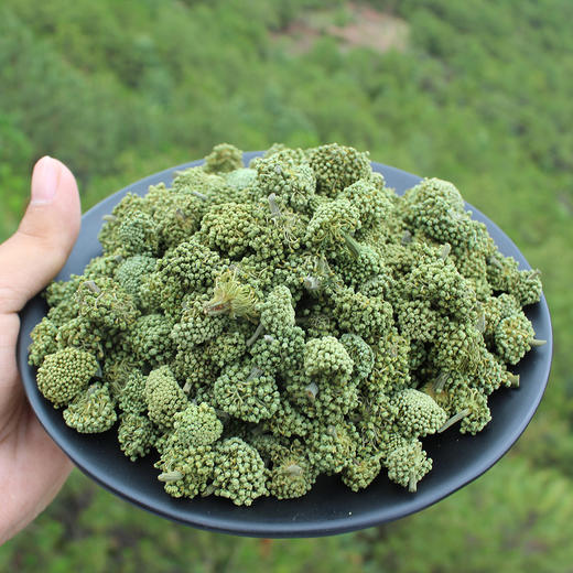 云南文山三七花茶，自然晾晒，朵大饱满，质脆完整 商品图2